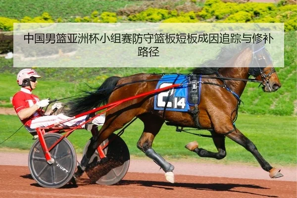 中国男篮亚洲杯小组赛防守篮板短板成因追踪与修补路径
